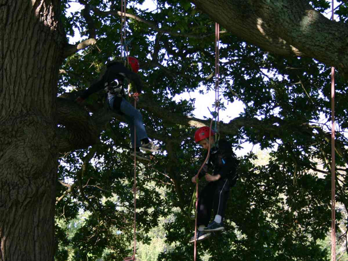 Goodleaf Tree Climbing picture gallery